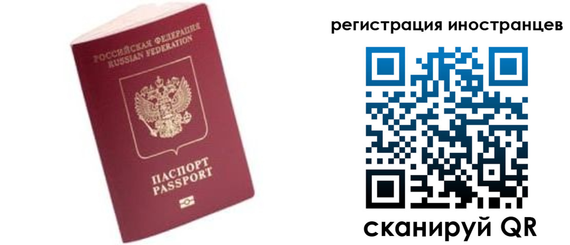 прописка гарантия в Сланцах